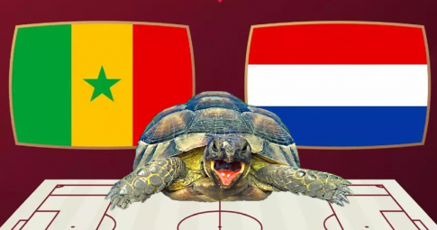 Nhận định Senegal vs Hà Lan, 23h00 ngày 21/11/2022, World Cup 2022