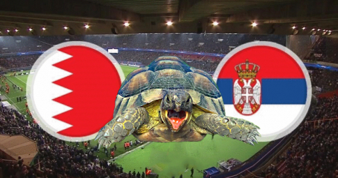 Thần rùa tiên tri dự đoán Bahrain vs Serbia | Giao hữu Quốc Tế | 22h30 ngày 18/11/2022