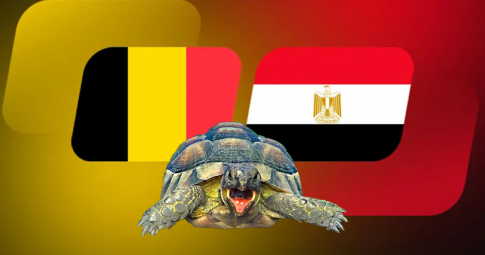 Thần rùa tiên tri dự đoán Bỉ vs Ai Cập | Giao hữu Quốc Tế | 22h00 ngày 18/11/2022
