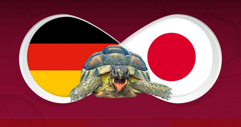 Thần rùa tiên tri dự đoán Đức vs Nhật Bản | World Cup 2022 | 20h00 ngày 23/11/2022