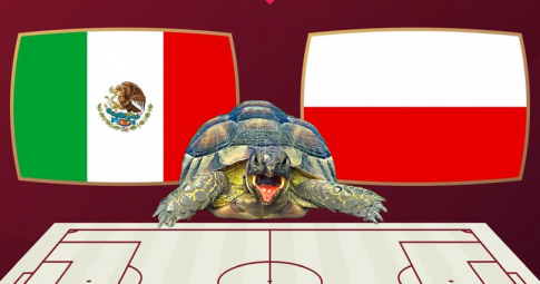 Thần rùa tiên tri dự đoán Mexico vs Ban Lan | World Cup 2022 | 23h00 ngày 22/11/2022