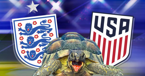 Thần rùa tiên tri dự đoán Anh vs Mỹ | World Cup 2022 | 02h00 ngày 26/11/2022