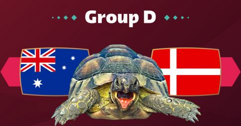 Nhận định Australia vs Đan Mạch, 22h00 ngày 30/11/2022, Lượt 3 | Bảng D | World Cup 2022