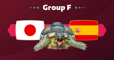 Nhận định Nhật Bản vs Tây Ban Nha, 02h00 ngày 02/12/2022, Lượt 3 | Bảng E | World Cup 2022
