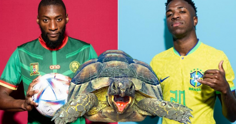 Thần rùa tiên tri dự đoán Cameroon vs Brazil | World Cup 2022 | 02h00 ngày 03/12/2022