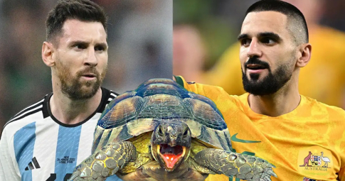 Thần rùa tiên tri dự đoán Argentina vs Australia | Vòng 1/8 World Cup 2022 | 02h00 ngày 04/12/2022