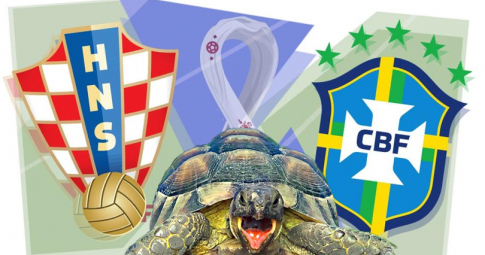 Thần rùa tiên tri dự đoán Croatia vs Brazil | Tứ kết World Cup 2022 | 22h00 ngày 09/12/2022