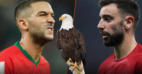 Đại bàng tiên tri dự đoán Maroc vs Bồ Đào Nha | Tứ kết | World Cup 2022 | 22h00 ngày 10/12/2022