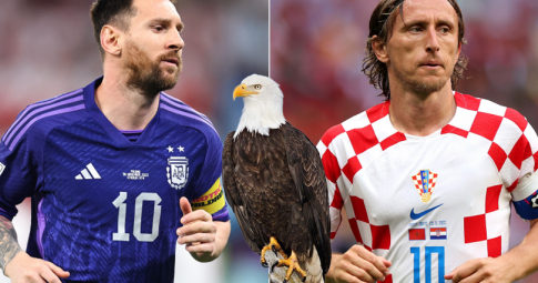 Đại bàng tiên tri dự đoán Argentina vs Croatia | Bán kết World Cup 2022 | 02h00 ngày 14/12/2022