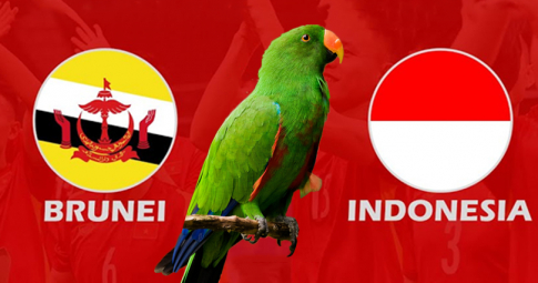 Nhận định Brunei vs Indonesia, 17h00 ngày 26/12/2022, Vòng 2 Bảng A AFF Cup 2022
