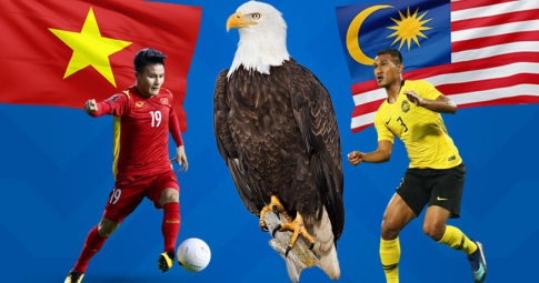 Đại bàng tiên tri dự đoán Việt Nam vs Malaysia | Vòng 3 AFF Cup 2022 | 19h30 ngày 27/12/2022