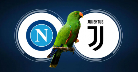 Thần vẹt tiên tri dự đoán Napoli vs Juventus | Vòng 18 Serie A | 02h45 ngày 14/01/2023