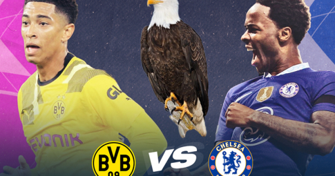 Đại bàng tiên tri dự đoán Dortmund vs Chelsea | Vòng 16 UEFA Champions League 2022/23 | 03h00 ngày 16/02/2023