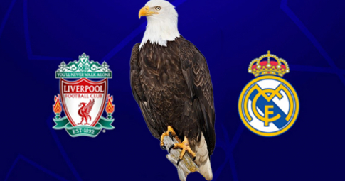 Đại bàng tiên tri dự đoán Liverpool vs Real Madrid | Vòng 16 UEFA Champions League 2022/23 | 03h00 ngày 22/02/2023