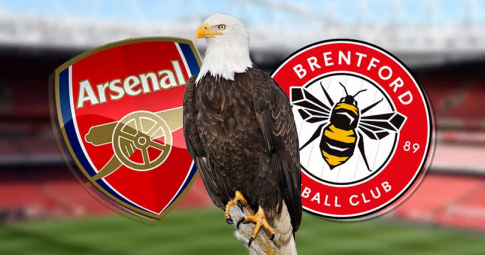Đại bàng tiên tri dự đoán Arsenal vs Brentford | Vòng 23 Ngoại Hạng Anh | 22h00 ngày 11/02/2023