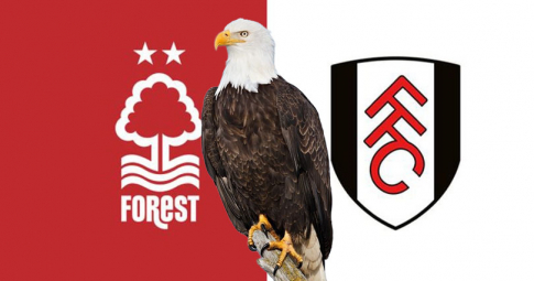 Đại bàng tiên tri dự đoán Fulham vs Nottm Forest | Ngoại Hạng Anh 2022/23 | 22h00 ngày 11/02/2023