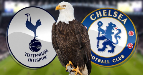 Đại bàng tiên tri dự đoán Tottenham vs Chelsea | Ngoại Hạng Anh | 20h30 ngày 26/02/2023
