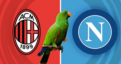 Thần vẹt tiên tri dự đoán AC Milan vs Napoli | UEFA Champions League 2022/23 | 02h00 ngày 13/04/2023